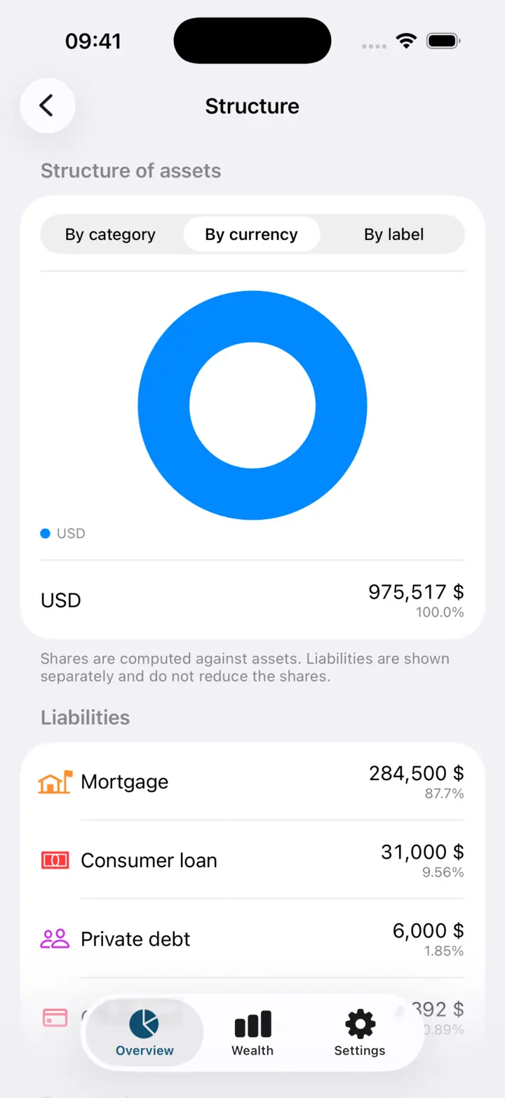 The same screen cut by currency; liabilities are listed separately below the assets and do not reduce the shares.